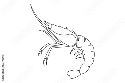 Marine animal icon simple outline single line art illustration isolated