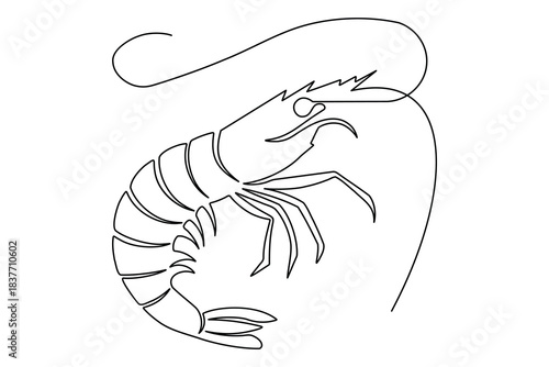 Minimalist prawn seafood continuous line drawing simple style outline