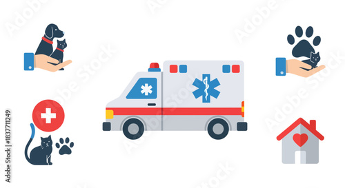 Comprehensive Graphic Resource Depicting Vital Pet Health Services, Including Veterinary Assistance, Emergency Medical Transport, and Loving Animal Home Care Icons