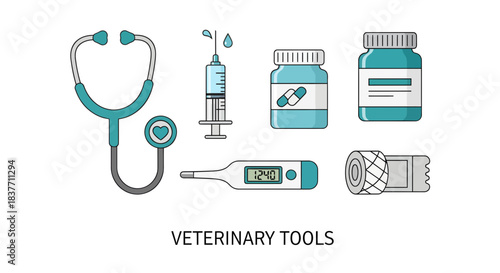 A clean and organized flat line art illustration showcasing essential veterinary medical tools for animal healthcare, featuring a stethoscope, syringe, medication, thermometer, and bandage