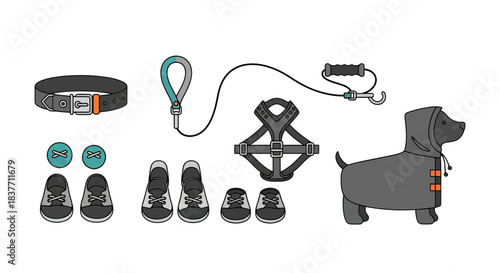 Essential Canine Gear Collection Stylized Vector Illustrations of Collars, Leashes, Harnesses, Apparel, and Footwear for Pet Care