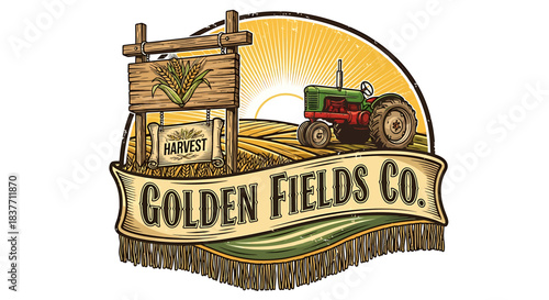 Enhancing online visibility through strategic video content optimization and search engine marketing strategies for digital platforms and online presence