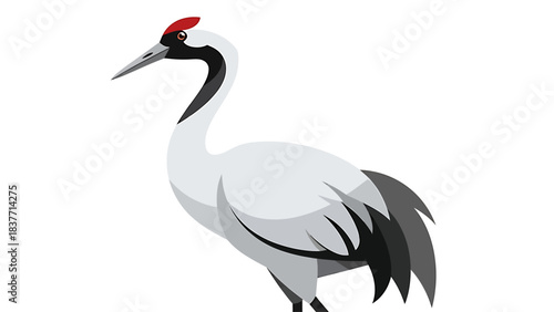 Elegant and graceful Japanese red-crowned crane illustration, a majestic avian symbol of longevity and good fortune in a clean, modern graphic style