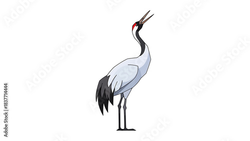 Elegant Japanese Red-crowned Crane with Black and White Plumage, Standing Tall and Calling Out