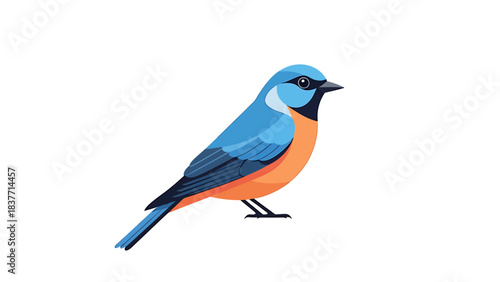 Vibrant blue and orange bird illustration in a modern flat design style, showcasing a charming passerine avian creature with striking plumage, perfect for nature-themed projects and digital art