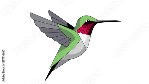 Ruby-throated hummingbird flying with wings outstretched, depicted in a clean, graphic illustration style
