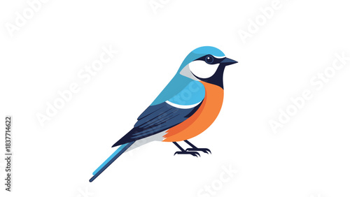 Striking illustration of a vibrant songbird, featuring brilliant blue, orange, and white plumage, poised gracefully and evoking the lightness of nature's freedom