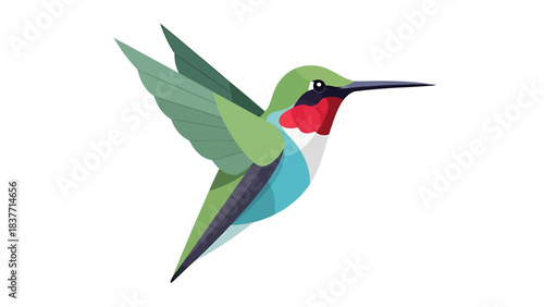Vibrant vector illustration of a small hummingbird in graceful flight, showcasing its colorful green wings, red throat, and blue accents, perfect for nature and wildlife designs
