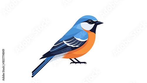 A vibrantly colored small bird with blue and orange plumage is depicted in a detailed illustration