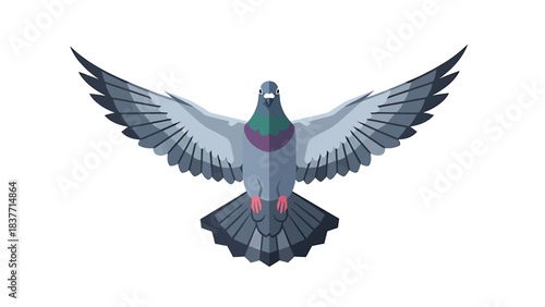 Illustration of a pigeon in flight with wings spread, a symbol of peace and freedom