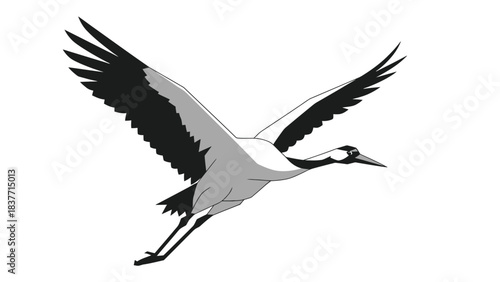 Graceful crane bird in dynamic flight, a stunning black and white illustration capturing the essence of avian freedom and natural beauty with powerful wings outstretched