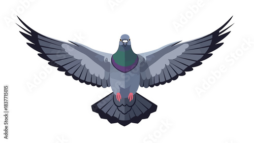 Elegant flat design illustration of a common city pigeon in flight, wings wide open, embodying a sense of gentle movement and avian grace against a clean background