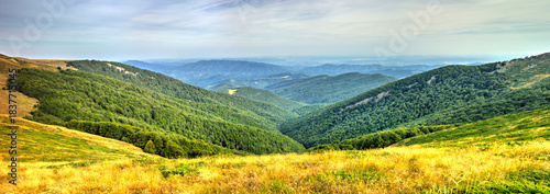 Beautiful landscape in the summer mountain