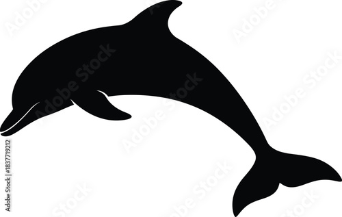 Dolphin silhouette, black vector art, leaping marine animal, ocean creature, streamlined body, minimal design, sea wildlife, nature illustration, dorsal fin