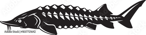 sturgeon silhouette vector flat illustration design