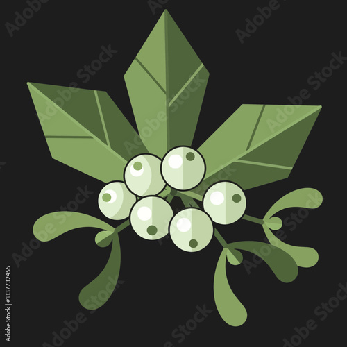 Stylized illustration of mistletoe with green leaves and white berries on a dark background, perfect for holiday designs.