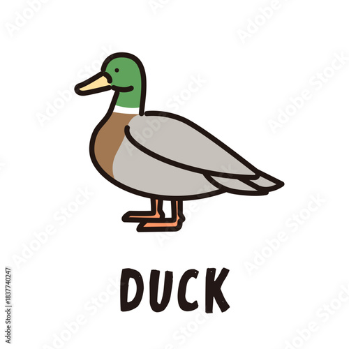 鴨のアイコンイラスト
