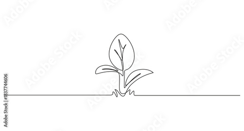 Green plant in a vase with floral elements and natural growth motifs