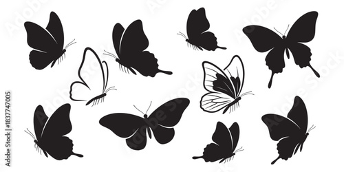 Collection of butterfly silhouettes in various flight positions and species isolated on white for nature design