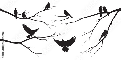 Artistic silhouette of several birds perched on various tree branches with some birds in flight on white background