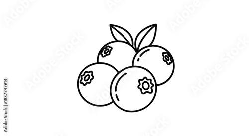Simple black and white line art icon showing a small cluster of four fresh blueberries with two small leaves on top.