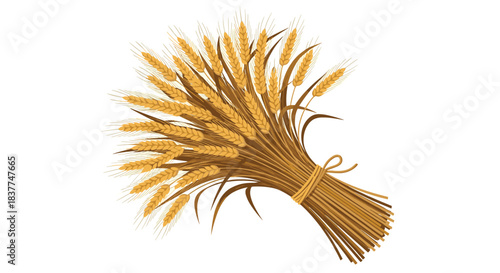 Golden sheaf of ripe wheat ears tied with a string representing harvest abundance and agriculture isolated on white background.