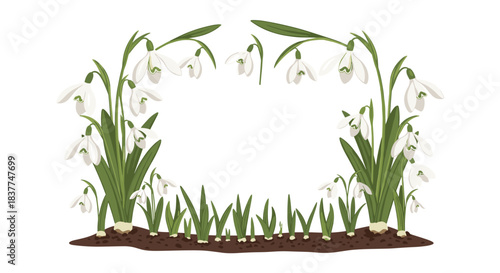 Rectangular frame made of delicate white snowdrop flowers blooming from the ground creating a beautiful border for spring.
