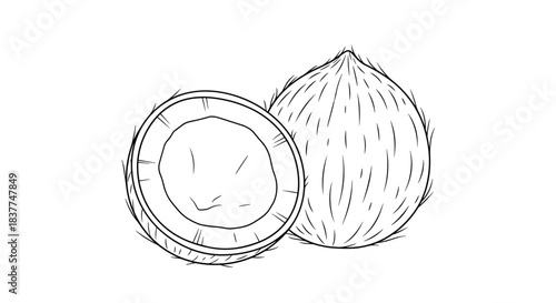 Black and white line drawing of a whole coconut next to one split in half showing the inner flesh on a white background.