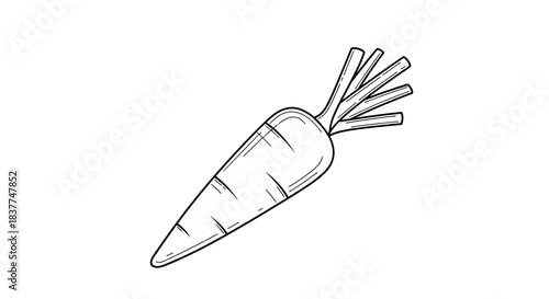 Simple black and white line art illustration of a single fresh carrot with its leafy green tops trimmed short for cooking.