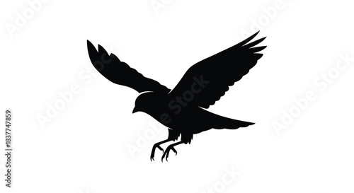 Dynamic black silhouette of a bird of prey such as a hawk or falcon landing with its wings spread and talons extended.