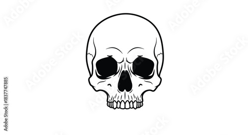 Stark black and white illustration of a human skull facing forward with detailed teeth and empty eye sockets for a scary look.