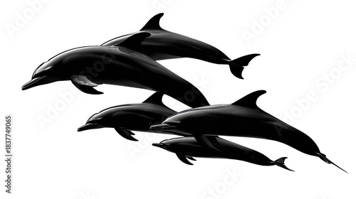 Oceanic Ballet: Five dolphins glide gracefully through the deep blue sea, their sleek bodies embodying the beauty and fluidity of marine life. This moment captures a synchronized dance of nature.