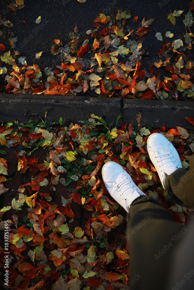 Naklejka premium White Sneakers on Autumn Leaves Fallen Pavement