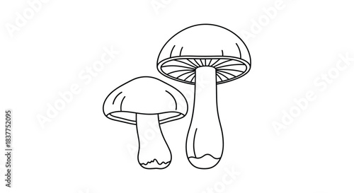 A simple black line art illustration of two mushrooms, one large and one small, perfect for a coloring book page.