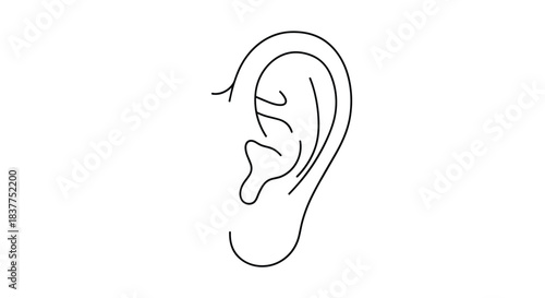 A clean and simple black line art illustration of a human ear, showing the basic anatomical contours and shape on a white background.