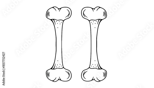 Two stylized dog bones are shown against a white background.