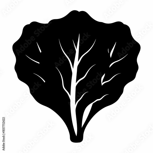 Isolated black silhouette of a leaf of leafy greens or cabbage
