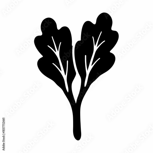 Stylized silhouette of a leafy green vegetable, with intricate vein details