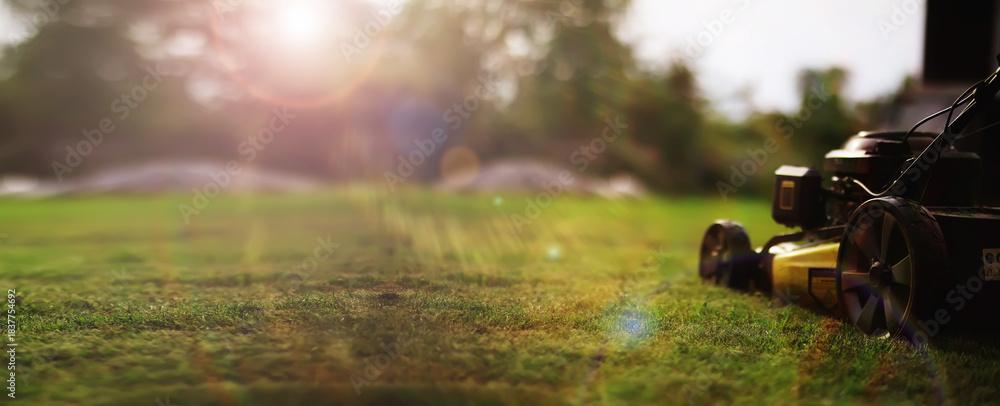 Obraz premium Lawn mower cut grass. Garden work. Electric Rotary lawn mower machine. Panorama, banner