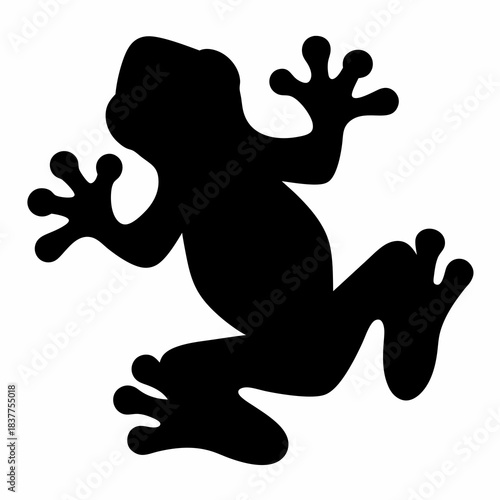 Silhouette of a tree frog with distinct webbed feet and hands