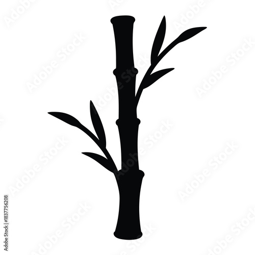 Elegant silhouette of a bamboo stalk with leaves on a white background