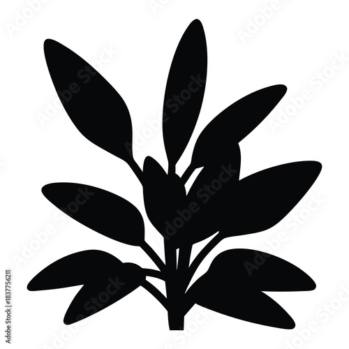 Black and White Silhouette of a Bush with Long, Pointed Leaves
