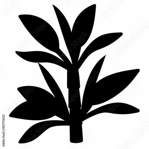Silhouette of a lush plant with vibrant foliage on a white background