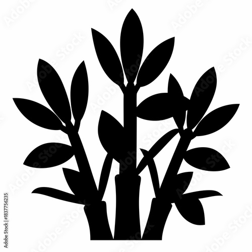Black silhouette of bamboo stalks with leaves on a white background