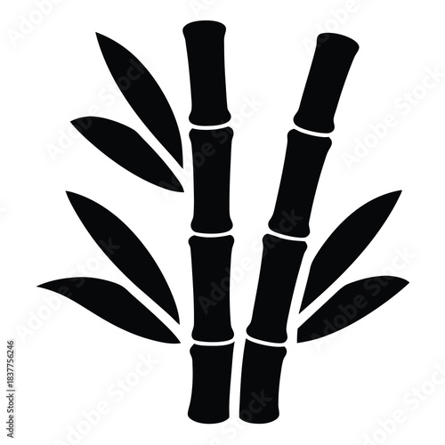 Elegant monochrome image of two bamboo stalks with leaves on a white background