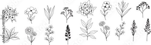 Hand-drawn botanical illustration set showcasing a diverse collection of wild flowers and green leaves in minimalist outline style, ideal for nature-themed design projects