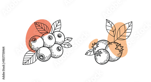 A set of two hand-drawn blueberry illustrations with leaves, styled with abstract colored shapes in the background for a modern look.