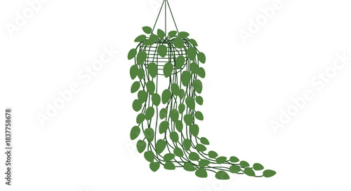 A simple green silhouette illustration of a lush trailing plant in a hanging wire basket, isolated on a plain white background.