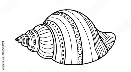 A detailed black and white zentangle-style illustration of a seashell, featuring intricate patterns of lines and dots for coloring.