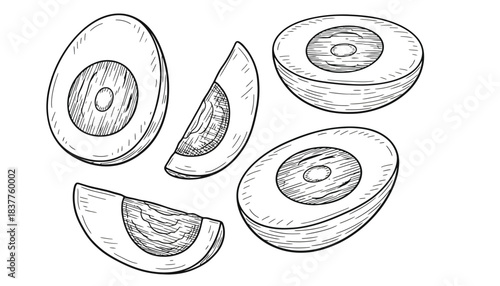 Illustration of sliced hard-boiled eggs on a white background.
